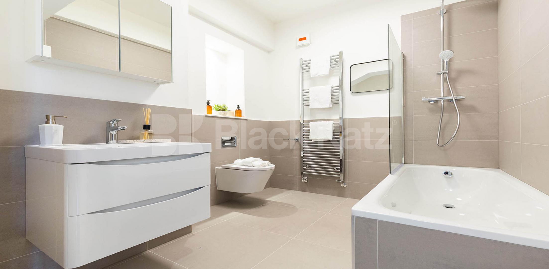 			LARGE STUDIO PROPERTY!, Studio Apartment, 1 bath, 1 reception Apartment			 ABILITY VIEW-KINGSLAND ROAD, DALSTON/HAGGERSTON